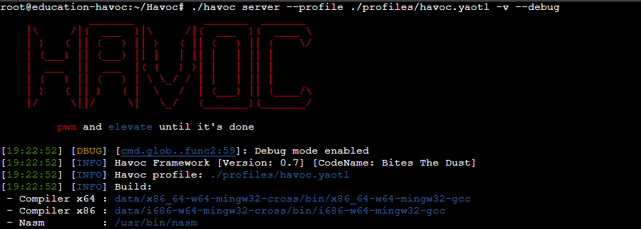 Team server runs