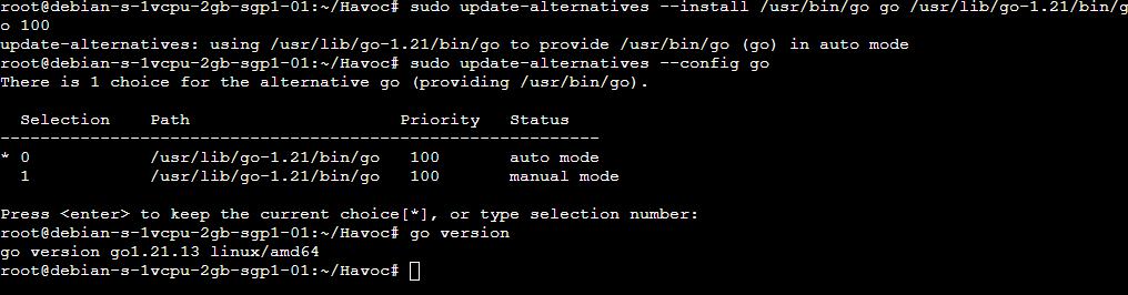 Update go